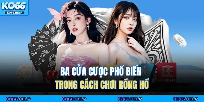 Cách Chơi Rồng Hổ | Đặt Cửa Chuẩn, Ăn Tiền Siêu Tốc 2 Ba cửa cược phổ biến trong cách chơi rồng hổ