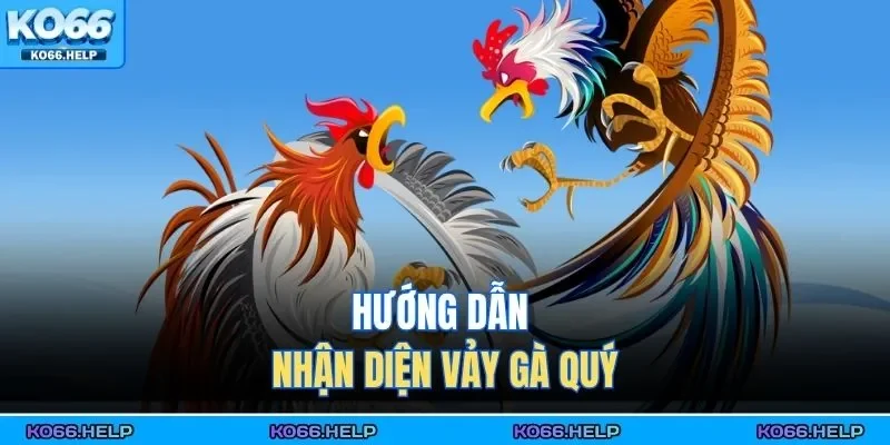 Vảy Gà Khai Vương | Bí Mật Nhận Diện Chiến Kê Quý Hiếm 2 Hướng dẫn nhận diện vảy gà quý