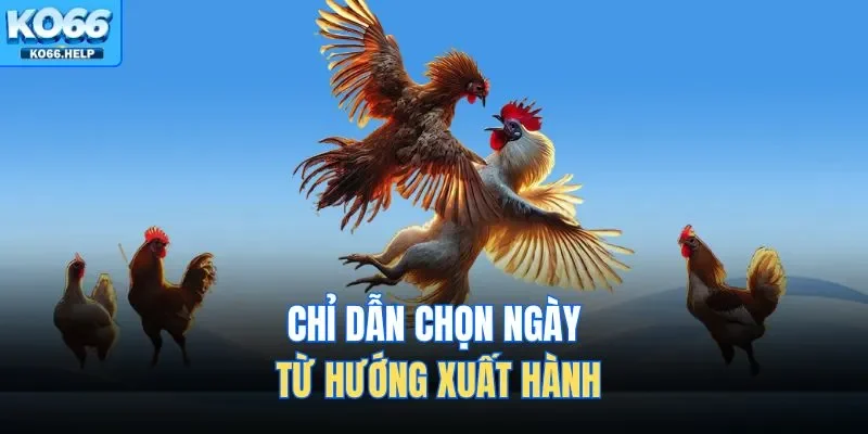 Bí Kíp Xem Ngày Đá Gà | Lựa Chọn Thời Điểm Vàng Xuất Trận 3 Chỉ dẫn chọn ngày từ hướng xuất hành