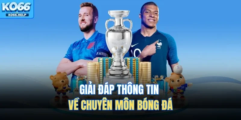 Thuật Ngữ Bóng Đá | Cẩm Nang Cá Cược Từ A-Z Cho Người Mới 2 Giải đáp thông tin về chuyên môn bóng đá